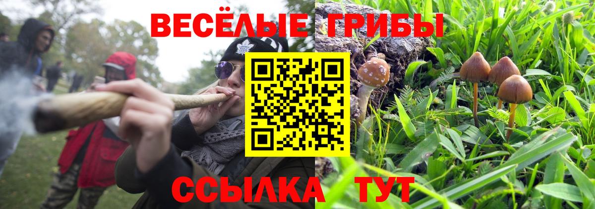 Ликино-Дулёво  наркота  Вход с VPN  Псилоцибиновые грибы Psilocybe 